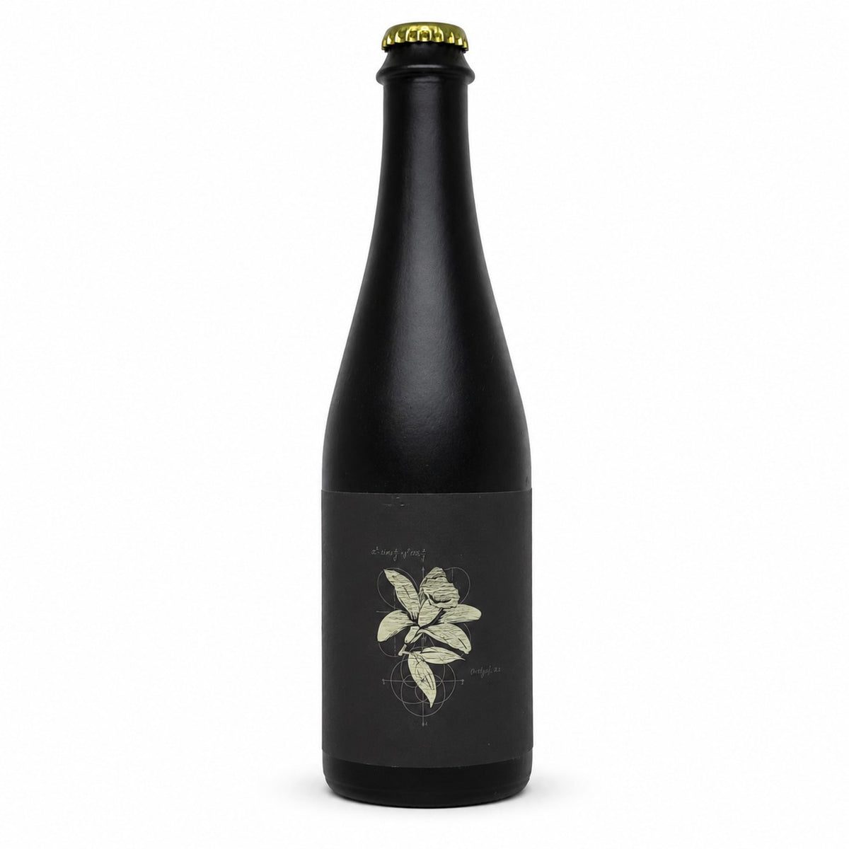 BA Stout Online American Stout beers special exclusive American beers Verdins