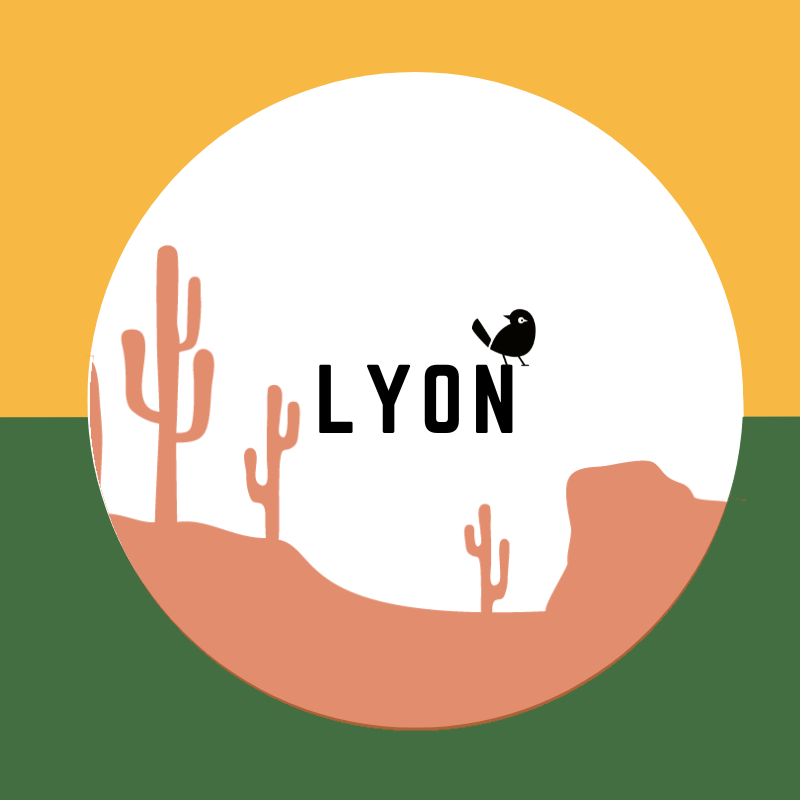 Bières Artisanales à Lyon | 800+ bières chez Verdins Cave à Bières