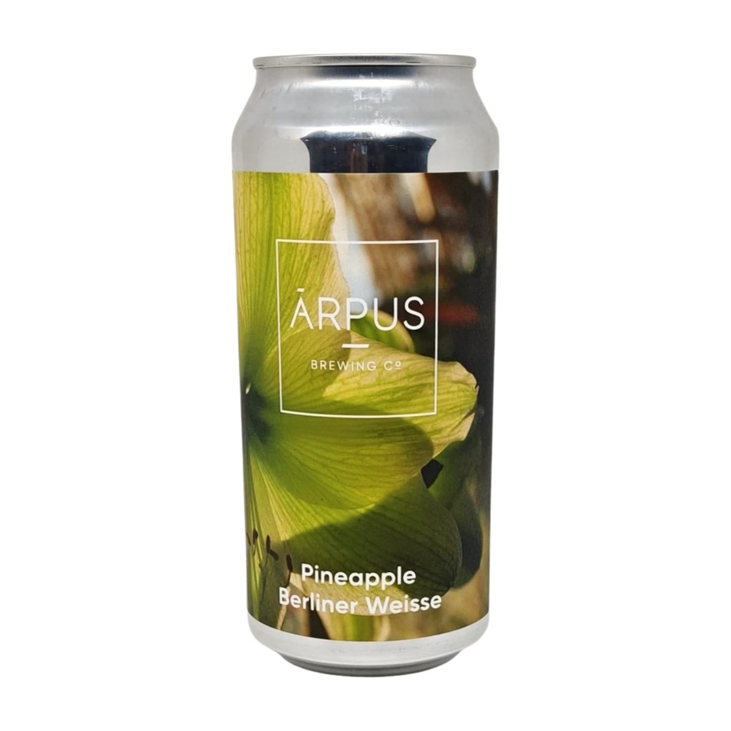 Arpus Pineapple | Berliner Weisse